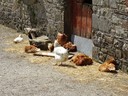 Wells House - Enjoying the sun