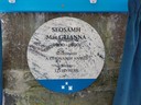 Plaque to Seosamh Mac Grianna